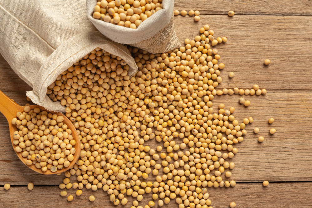 Soya Beans Import